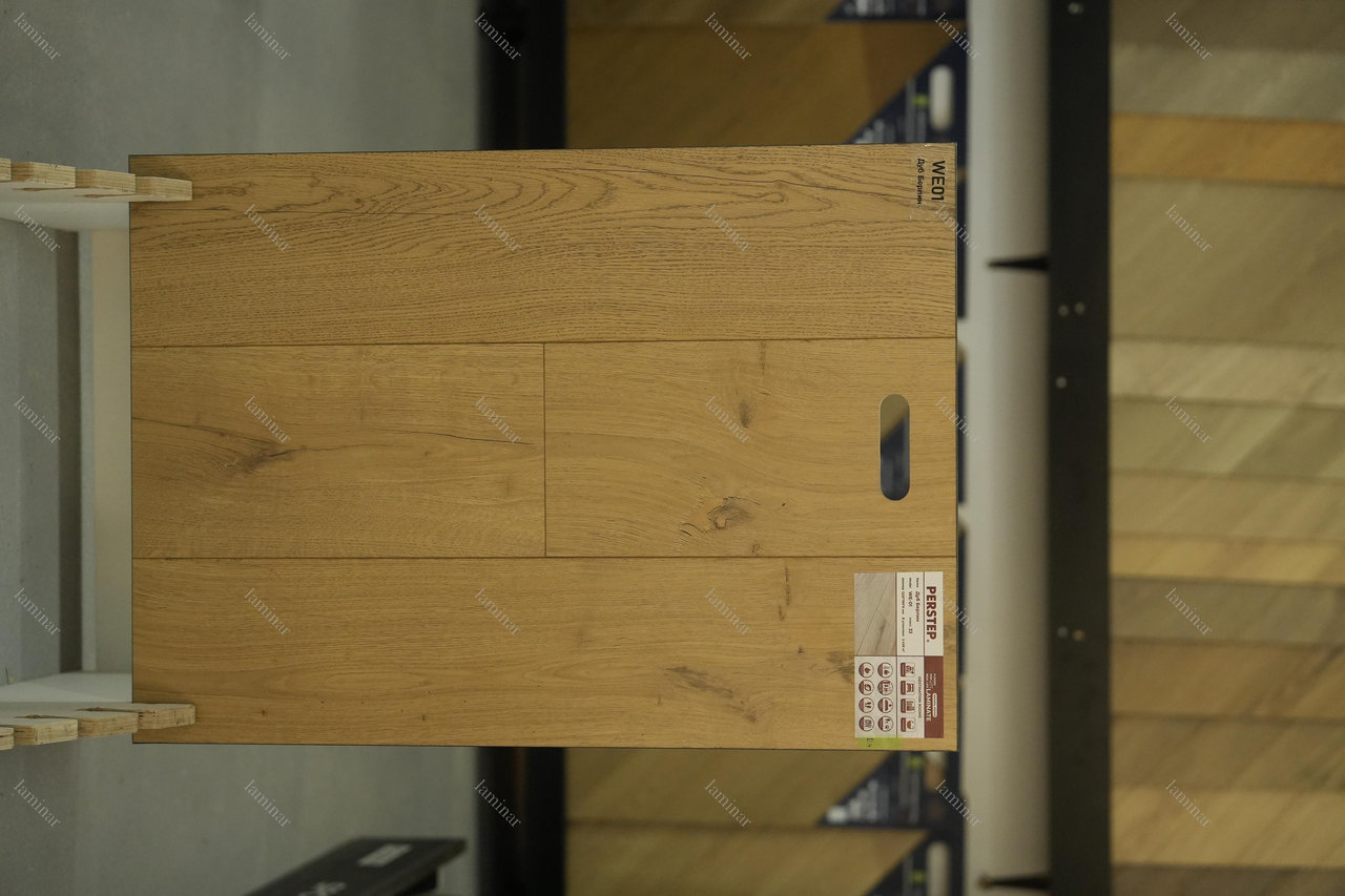 WE01 Дуб Берлин